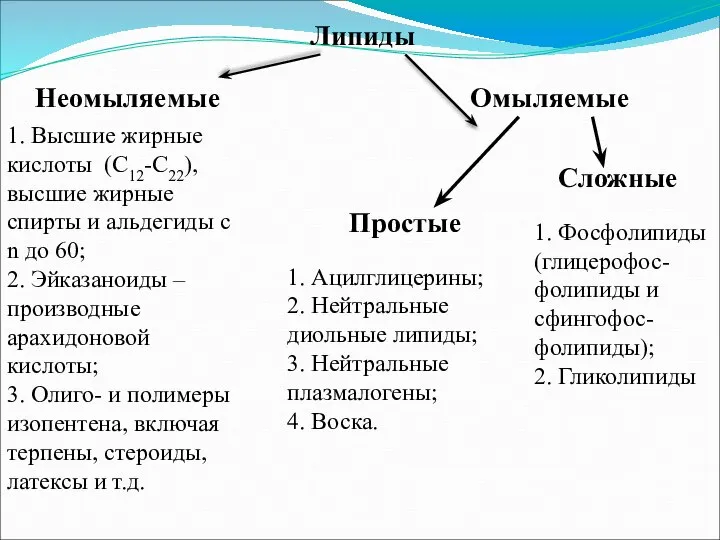 Липиды Неомыляемые Омыляемые 1. Высшие жирные кислоты (С12-С22), высшие жирные спирты