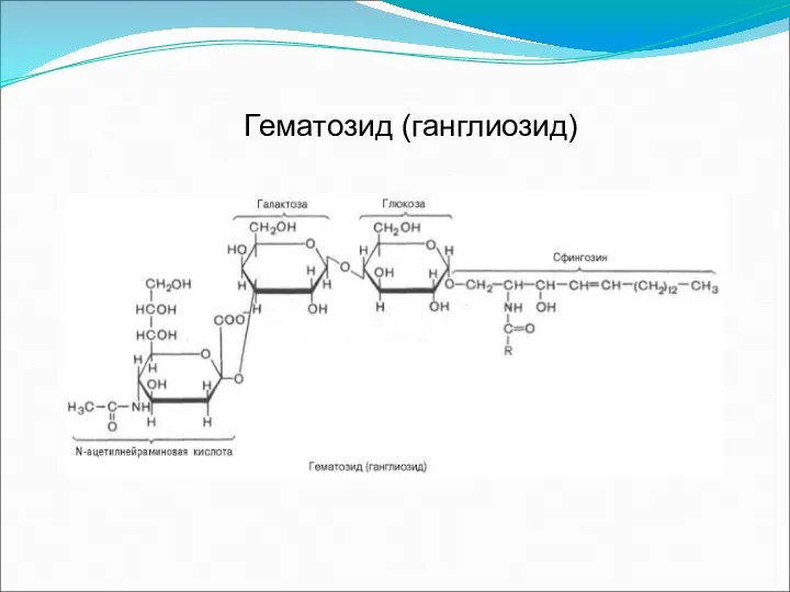 Гематозид (ганглиозид)