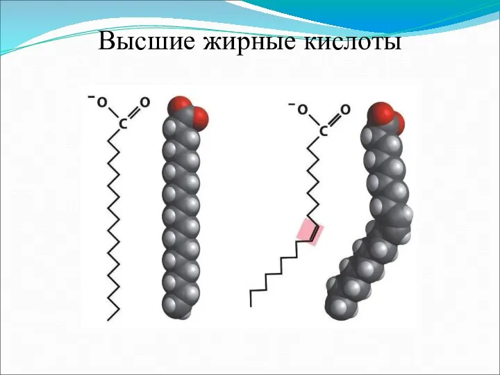 Высшие жирные кислоты