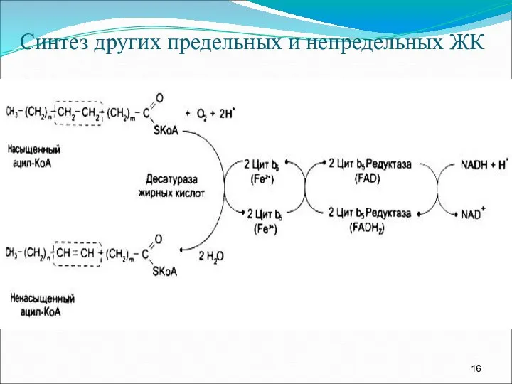 Синтез других предельных и непредельных ЖК