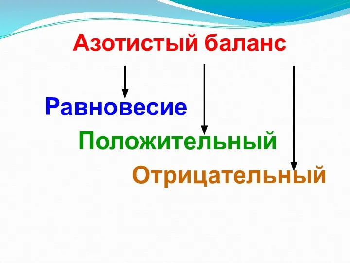 Азотистый баланс Равновесие Положительный Отрицательный