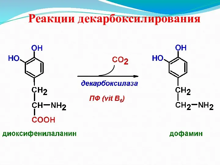 Реакции декарбоксилирования