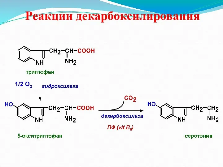 Реакции декарбоксилирования