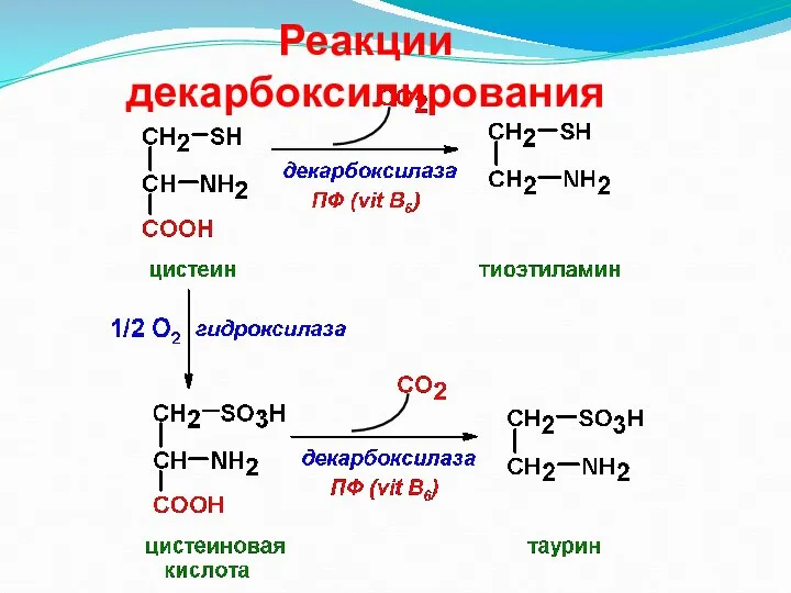 Реакции декарбоксилирования