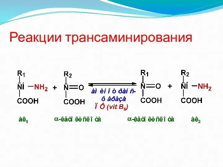 Реакции трансаминирования