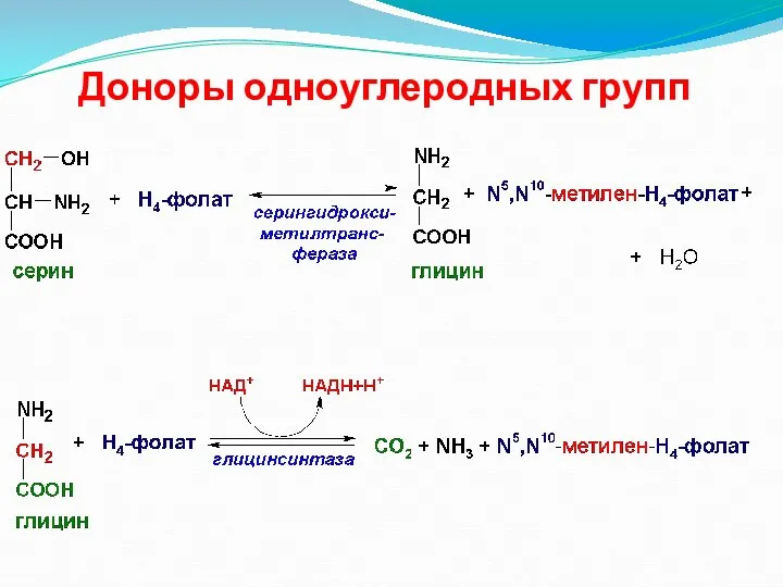 Доноры одноуглеродных групп