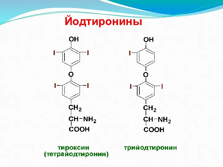 Йодтиронины