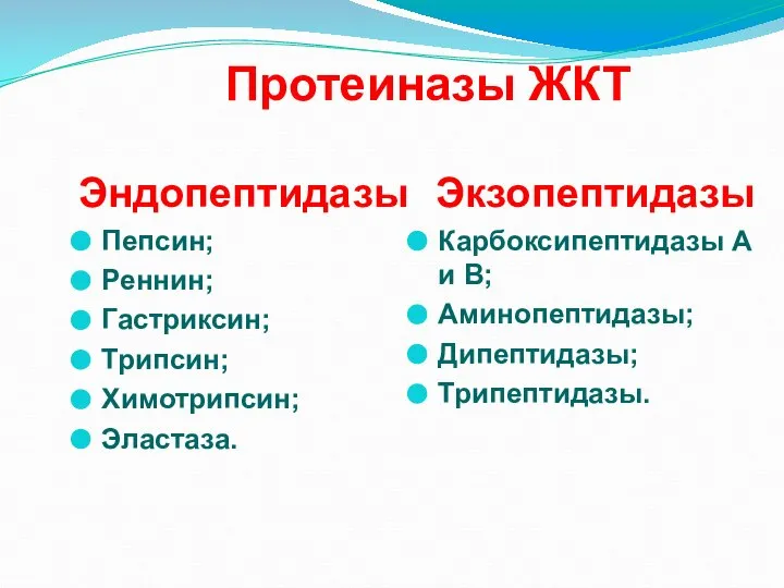Протеиназы ЖКТ Эндопептидазы Пепсин; Реннин; Гастриксин; Трипсин; Химотрипсин; Эластаза. Экзопептидазы Карбоксипептидазы