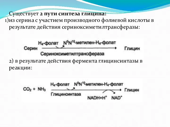 Существует 2 пути синтеза глицина: из серина с участием производного фолиевой