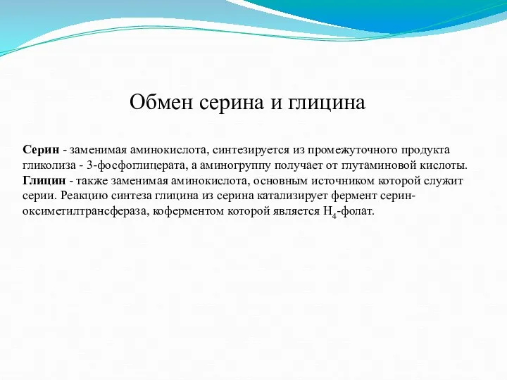 Обмен серина и глицина Серин - заменимая аминокислота, синтезируется из промежуточного