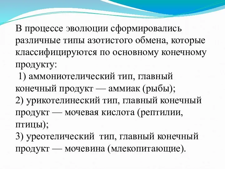 В процессе эволюции сформировались различные типы азотистого обмена, которые классифицируются по