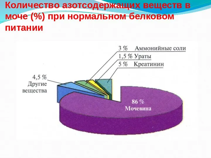 Количество азотсодержащих веществ в моче (%) при нормальном белковом питании