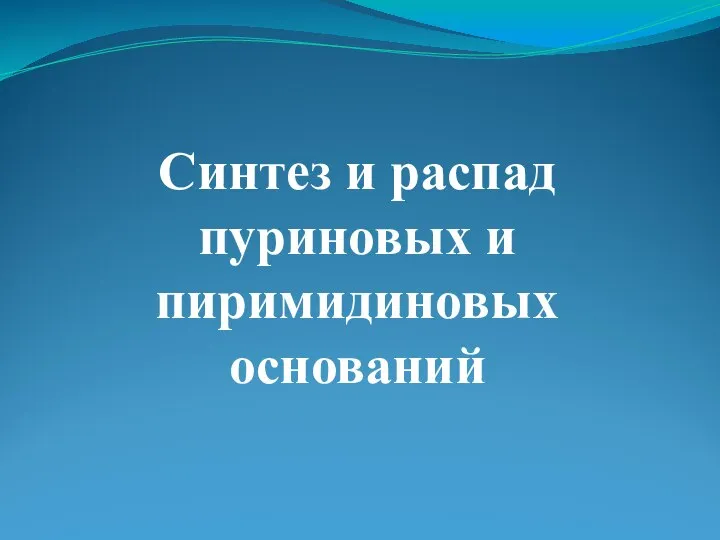 Синтез и распад пуриновых и пиримидиновых оснований