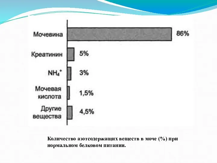 Количество азотсодержащих веществ в моче (%) при нормальном белковом питании.