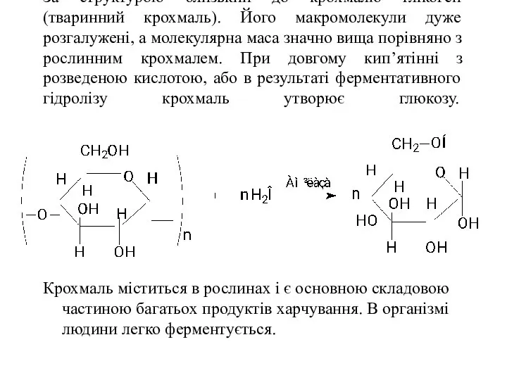 За структурою близький до крохмалю глікоген (тваринний крохмаль). Його макромолекули дуже