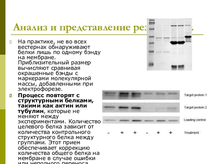 Анализ и представление результатов. На практике, не во всех вестернах обнаруживают