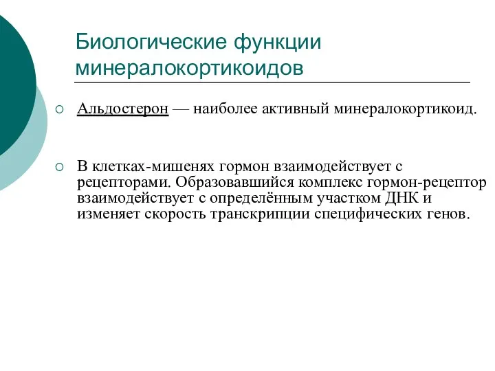 Альдостерон — наиболее активный минералокортикоид. В клетках-мишенях гормон взаимодействует с рецепторами.