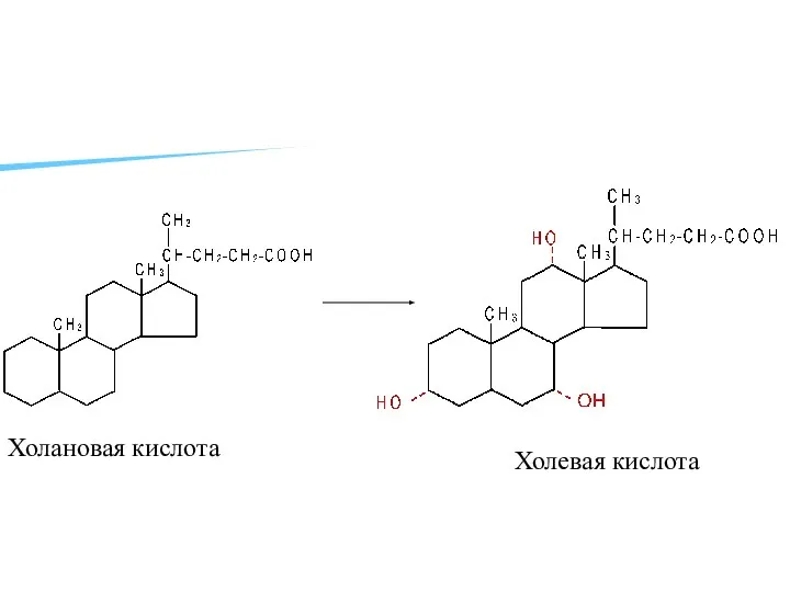 Холановая кислота Холевая кислота