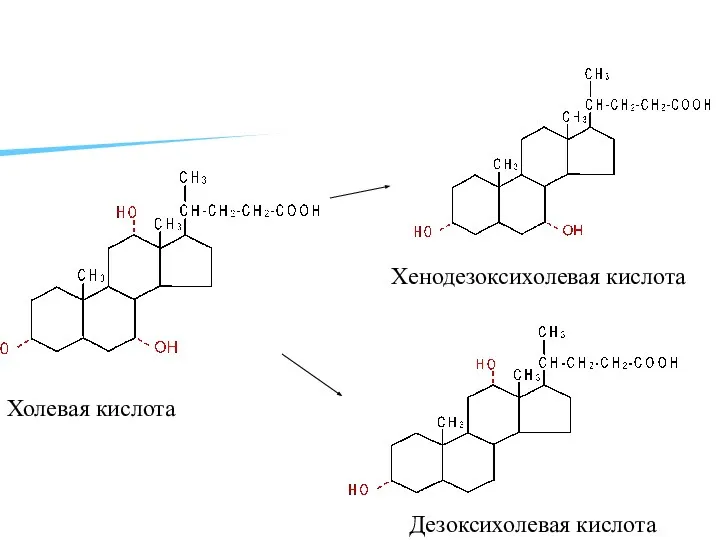 Холевая кислота Хенодезоксихолевая кислота Дезоксихолевая кислота