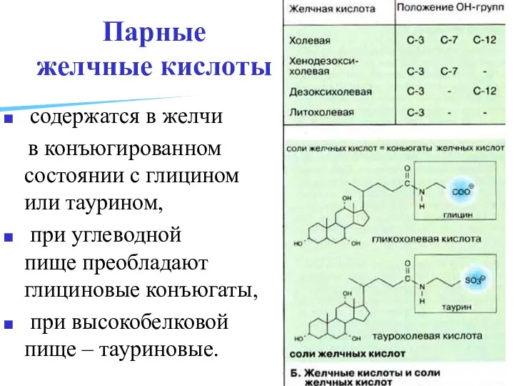 Парные желчные кислоты содержатся в желчи в конъюгированном состоянии с глицином