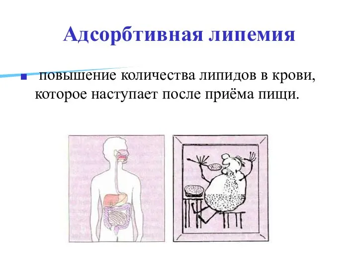 Адсорбтивная липемия повышение количества липидов в крови, которое наступает после приёма пищи.