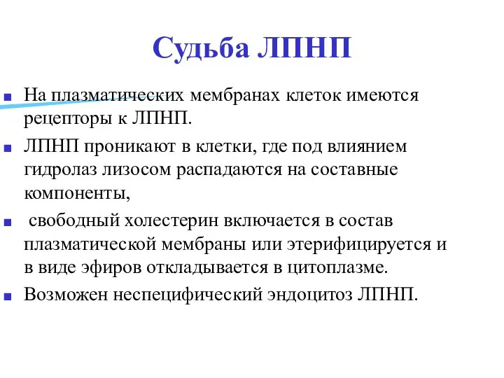 Судьба ЛПНП На плазматических мембранах клеток имеются рецепторы к ЛПНП. ЛПНП