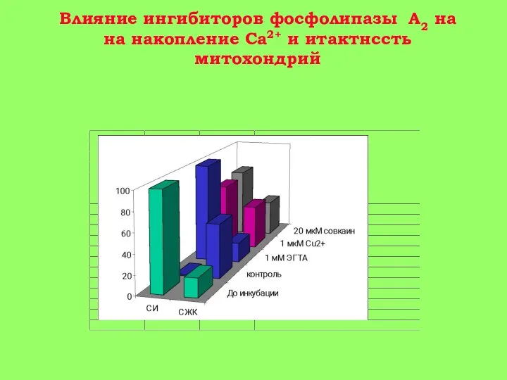 Влияние ингибиторов фосфолипазы А2 на на накопление Ca2+ и итактнссть митохондрий