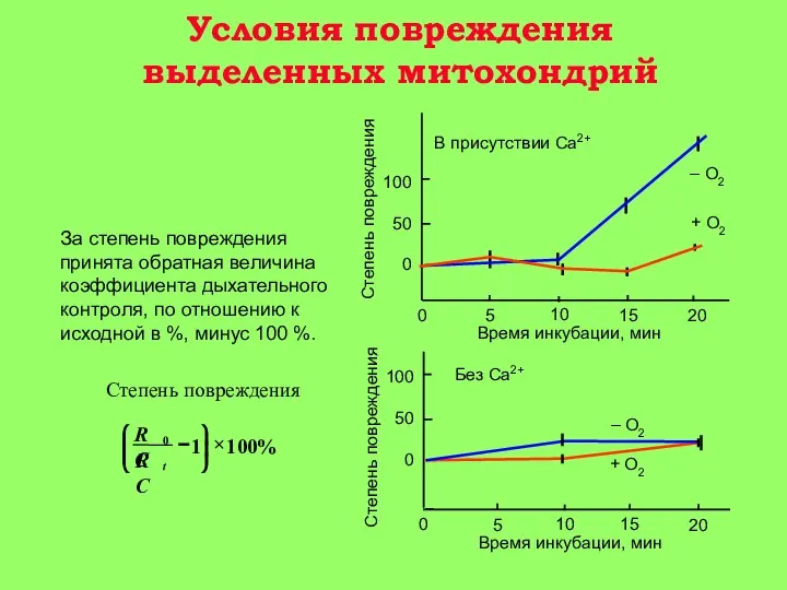 За степень повреждения принята обратная величина коэффициента дыхательного контроля, по отношению