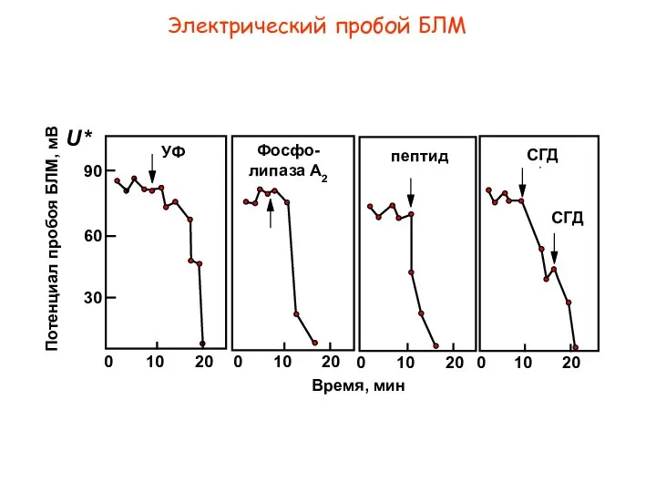 Электрический пробой БЛМ P УФ Фосфо-липаза A2 пептид СГД 0 20