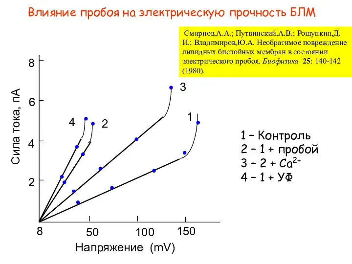 Влияние пробоя на электрическую прочность БЛМ Смирнов,А.А.; Путвинский,А.В.; Рощупкин,Д.И.; Владимиров,Ю.А. Необратимое