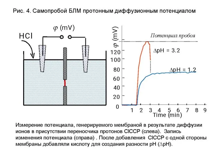 Самопробойц БЛМ