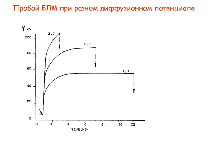 Пробой БЛМ при разном диффузионном потенциале