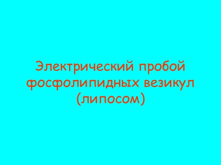 Электрический пробой фосфолипидных везикул (липосом)