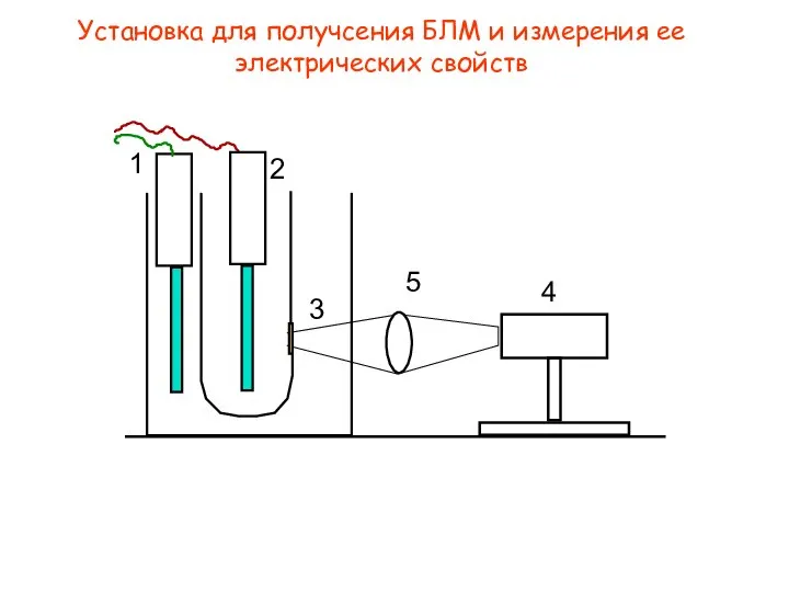 Установка для получсения БЛМ и измерения ее электрических свойств