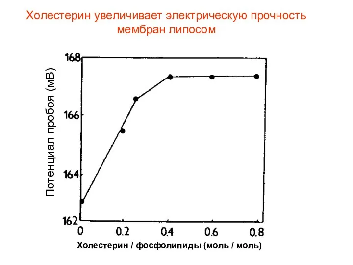 Холестерин увеличивает электрическую прочность мембран липосом Потенциал пробоя (мВ) Холестерин / фосфолипиды (моль / моль)