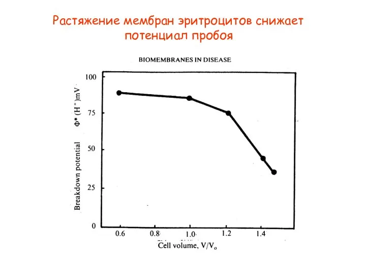 Растяжение мембран эритроцитов снижает потенциал пробоя