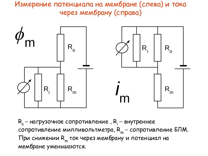 Измерение потенциала на мембране (слева) и тока через мембрану (справа) Ro