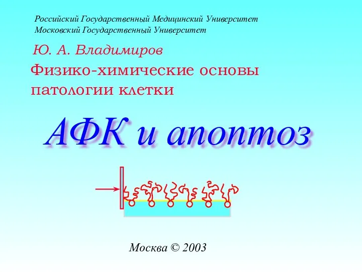 Физико-химические основы патологии клетки Российский Государственный Медицинский Университет Московский Государственный Университет