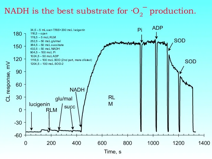 NADH is the best substrate for ·O2¯ production.