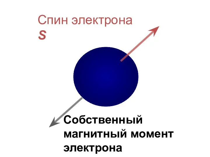 Спин электрона S Собственный магнитный момент электрона