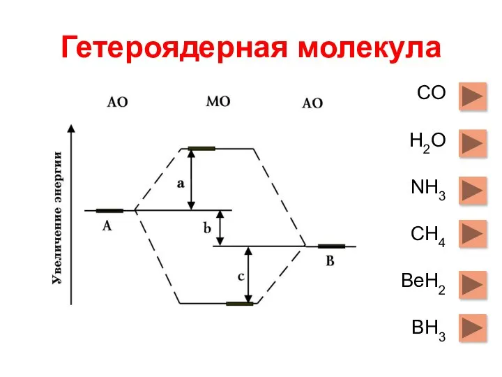 Гетероядерная молекула СО Н2О NH3 CH4 BeH2 BH3