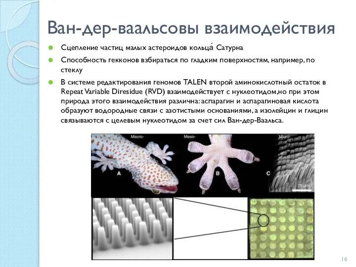 Ван-дер-ваальсовы взаимодействия Сцепление частиц малых астероидов кольца́ Сатурна Способность гекконов взбираться
