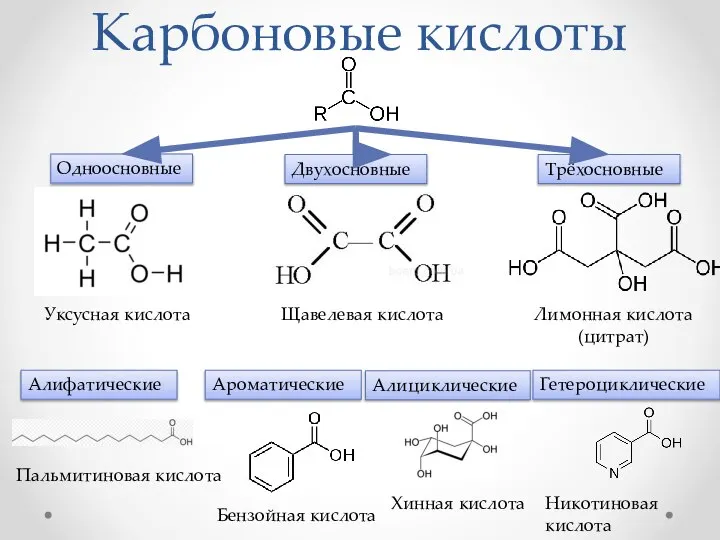 Карбоновые кислоты Одноосновные Трёхосновные Двухосновные Уксусная кислота Щавелевая кислота Лимонная кислота