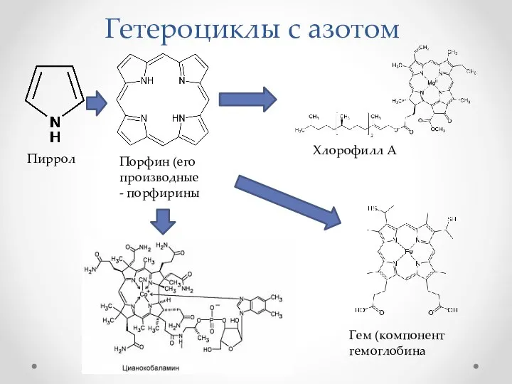 Гетероциклы с азотом Пиррол Порфин (его производные - порфирины Хлорофилл А Гем (компонент гемоглобина