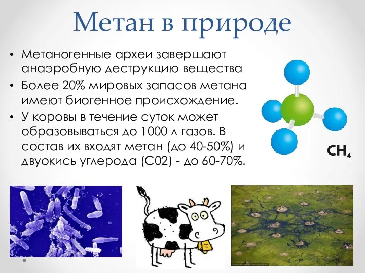 Метан в природе Метаногенные археи завершают анаэробную деструкцию вещества Более 20%