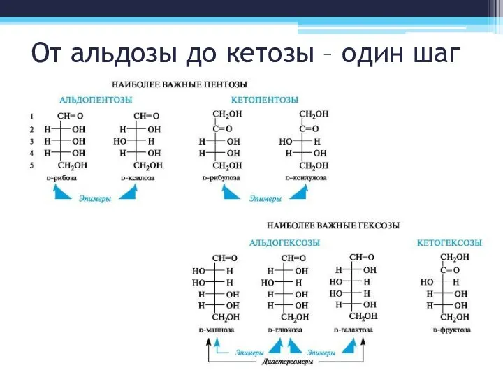 От альдозы до кетозы – один шаг