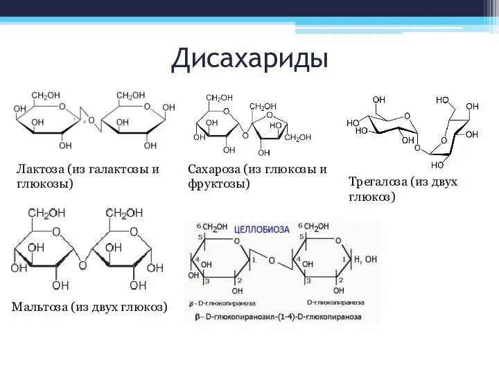 Дисахариды Лактоза (из галактозы и глюкозы) Сахароза (из глюкозы и фруктозы)