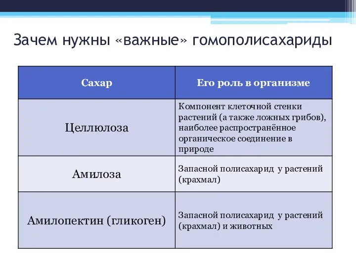 Зачем нужны «важные» гомополисахариды