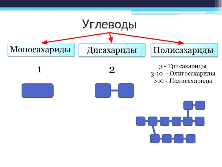 Углеводы Моносахариды Дисахариды Полисахариды 1 2 3 - Трисахариды 3-10 – Олигосахариды >10 - Полисахариды