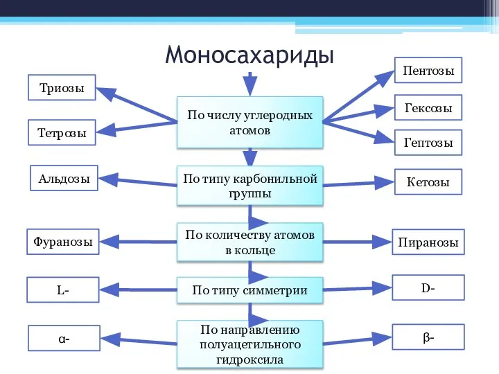 Моносахариды По числу углеродных атомов Триозы Пентозы Тетрозы Гексозы Гептозы По